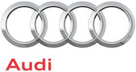 8j0-920-980-gx Audi Genuine Combination.inst