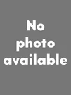 Mercedes C280 Jahn Instrument Panel Light Bulb 27225 0015445594. Fixed Price $13.00.