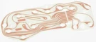 Oer Reproduction Printed Circuit Board 1978-1980 Pontiac Firebird Without Gauges. Fixed Price $89.98.