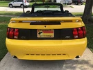 1999-2004 Ford Mustang Rear Vinyl Decal Deck Lid Trunk Panel. Fixed Price $34.99.