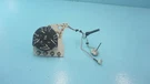 1985 Mercedes--benz R107 380SL , Fuel Temp Pressure Gauge Oem. Fixed Price $199.00.