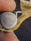 Mopar Instrument Panel Condensor Nos. Fixed Price $50.00.